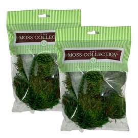 Preserved Mood Moss - Premium Decorative Moss for Crafts, Home Décor, Art, Design & DIY Projects - Real Moss- Non-Toxic - USA-Made- Natural Green, Small 2-Pack