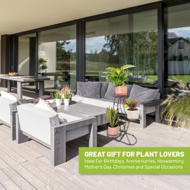 Cocoyard Three Flower Pot Collapsible Plant Stand. No Assembly Required. Tiered Metal Plant Stand, Tri Level Planter Stand, Indoor Outdoor Heavy Duty Modern Flowerpots Holder Rack (Large)