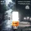 RIUVAO 40W LED Corn Light Bulb, 320W Equivalent 5000LM, 5000K