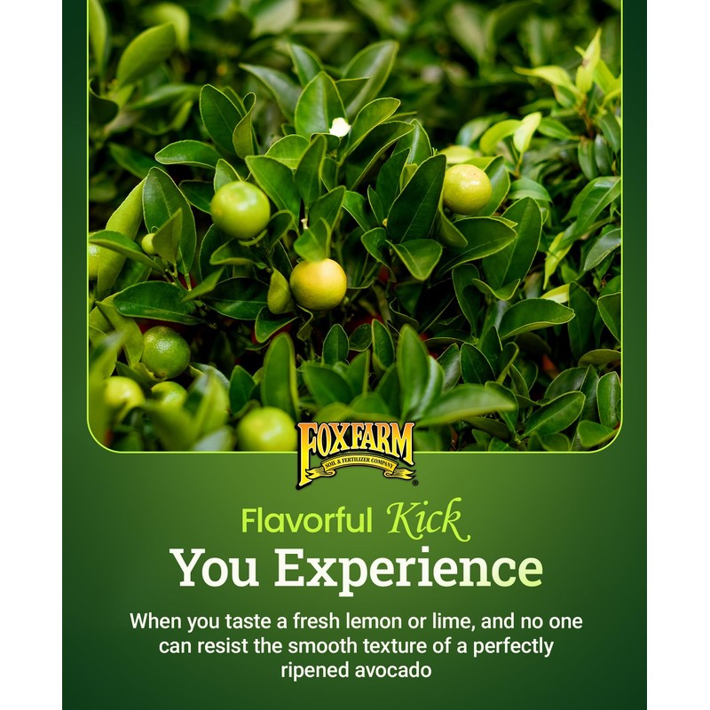 FoxFarm Happy Frog Citrus and Avocado Fertilizer- OMRI Listed Citrus