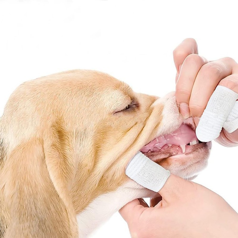 20 PCS Soft Fabric Finger Toothbrush Kit for Dogs and