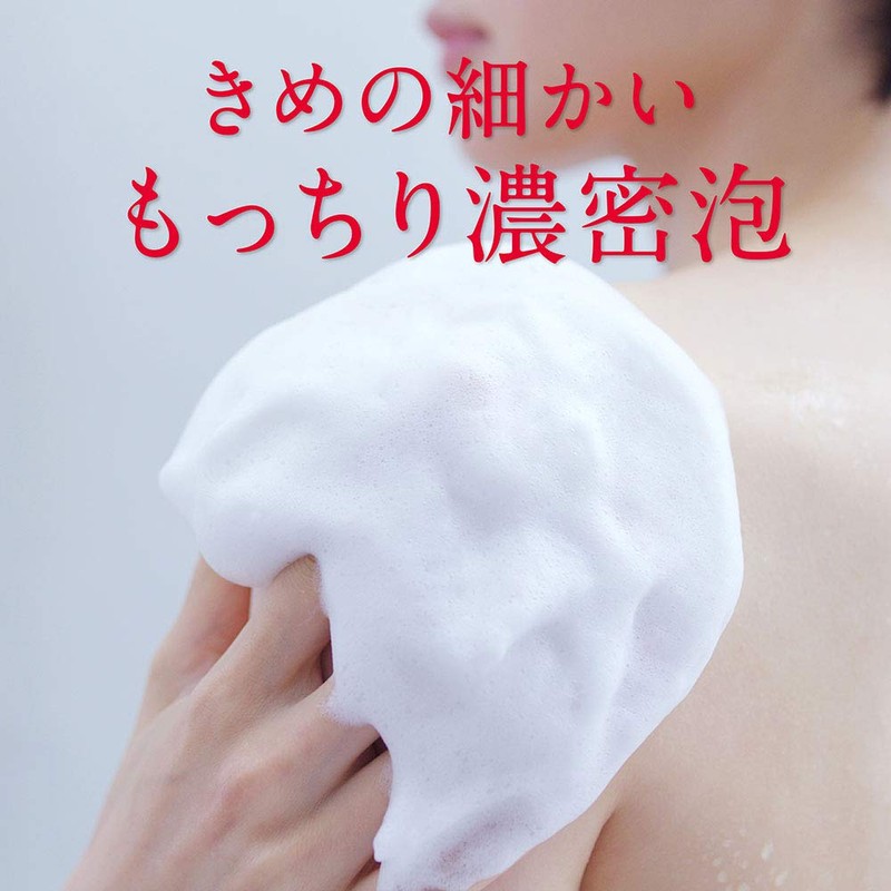 hadakara Body Soap, Oil In Type Foam, Refill, 14.2 fl