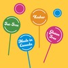 Classic 10 Fruit Flavor Lollipops by Candy Creek, 230 Count,