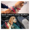 PHOEPET No Pull Dog Vest Harness with Unique Colors，Adjustable Reflective