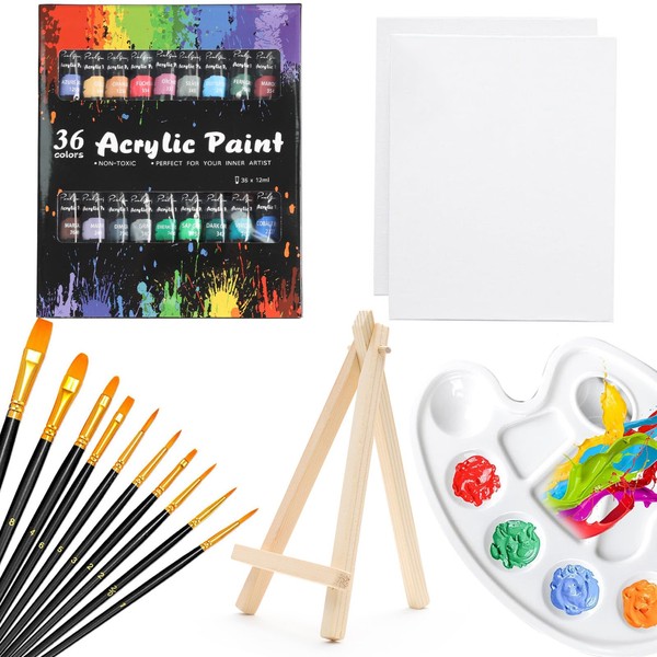 Kit de Pintura Acrílica, 36 Colores Pintura Oleo con 10