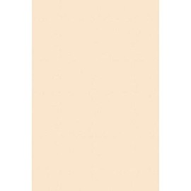 Pacon Poster Boards (PAC5126)