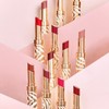 Phyto Rouge Shine (Lipstick) N°24 Sheer Pony / 휘또 루즈