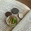 Real Four Leaf Clover Good Luck Pocket Token, Preserved, 1.25”,