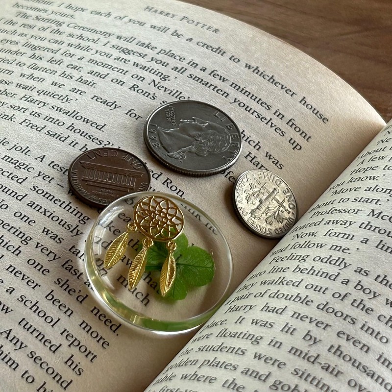 Real Four Leaf Clover Good Luck Pocket Token, Preserved, 1.25”,