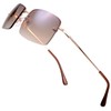 The Fresh Minimalist Small Rectangular Sunglasses Clear Eyewear Spring Hinge