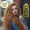 Ayumi Pure Olive Oil, Cold Pressed Olive Oil, For Healthier