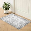 Small Area Rug 2x3 Ft Door Mat Machine Washable Kitchen