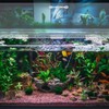Sieral Aquarium Lids Polycarbonate Canopy 2 Pieces Set 16.87 x