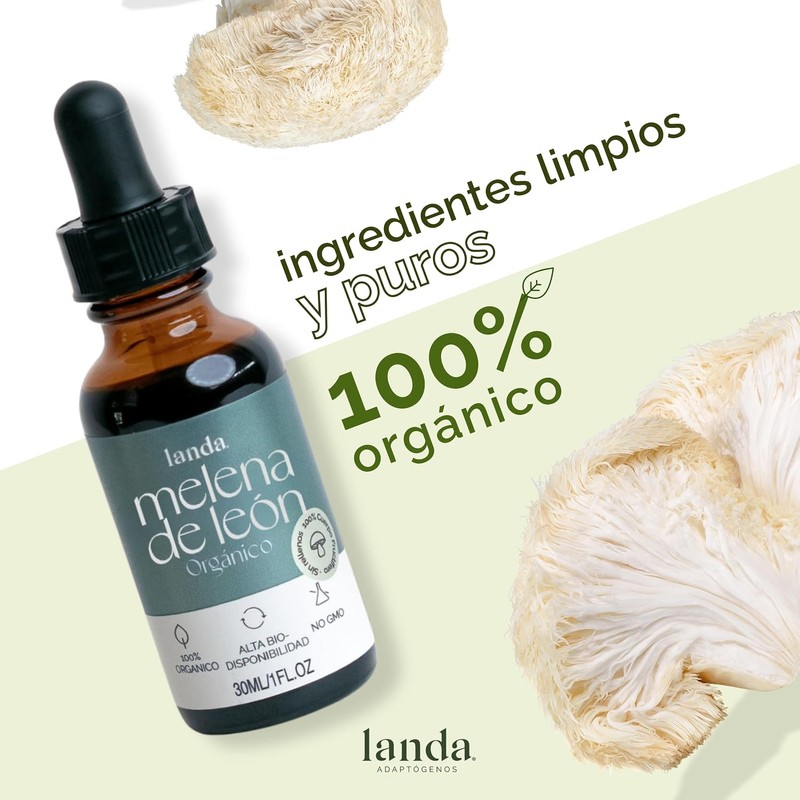 LANDA Extracto Liquido de Hongo Melena de León 30 ml