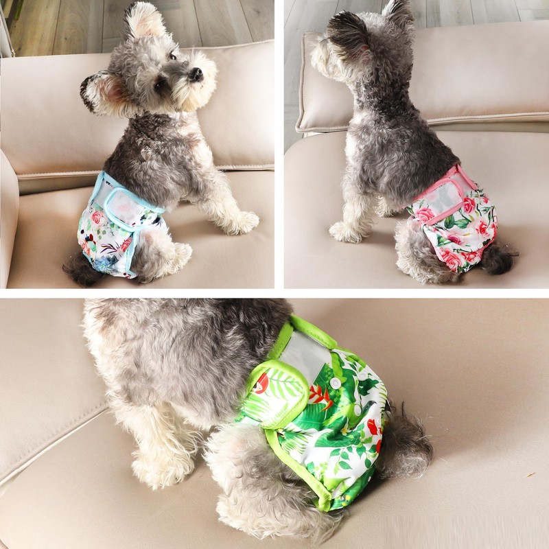 wegreeco Luxury Washable Reusable Dog Diapers (Stylish Pattern) - Female
