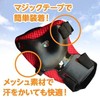 grepo Bicycle Supporter Protector Strider Kids 6 Piece Set Roller