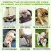 Suplemento Alimenticio Perro Probióticos Enzimas Digestivas