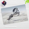 Desk Mat for Children and Adults - White Horse -