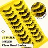 10 Pairs 5 Styles Mixed Clear Band Artificial Eyelashes Cat