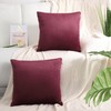 PiccoCasa Velvet Cushion Covers Set of 2 Stylish Nordic Decorative