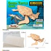 Puzzled 3D Puzzle Green Turtle Wood Craft Construction Model Kit,