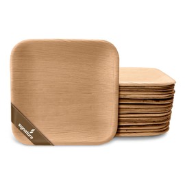 Disposable Palm Leaf Plates - 25 Pack - Square Shape Biodegradable Plates - 6 inch - 15 cm - 100% All Natural Areca Palm Leaf Tableware - Perfect for Picnics, BBQ, and Outdoor Parties