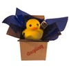 DuqDuq Rubber Duck LED Light for Paddle Boards, Kayaks, Canoes,