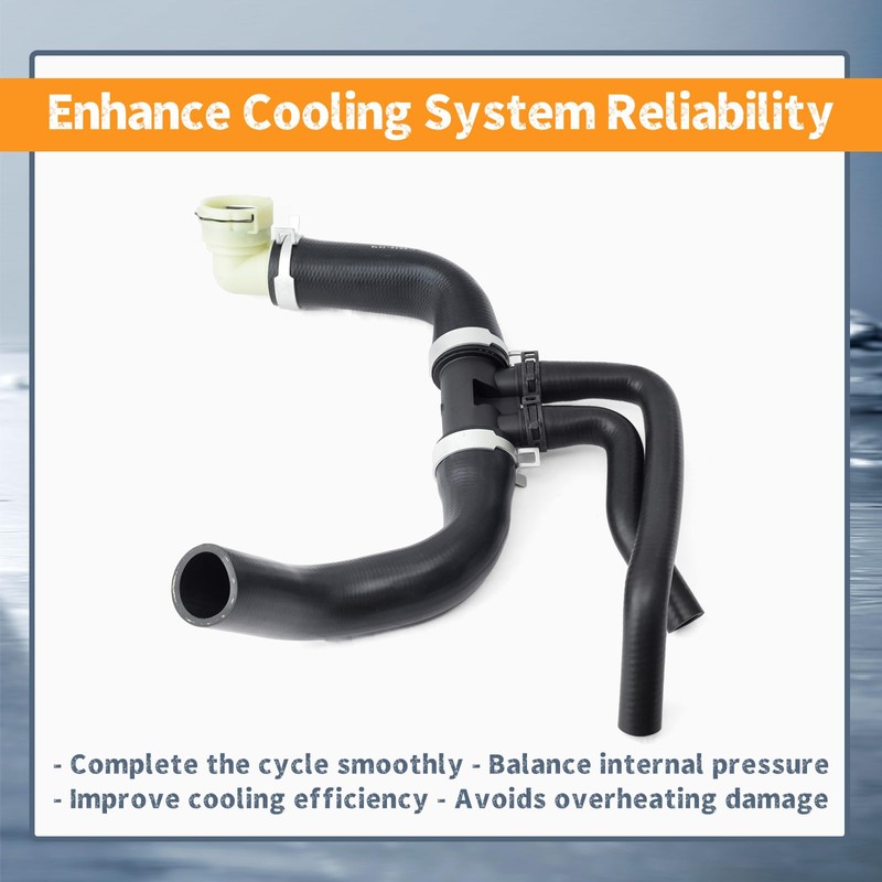 Erchon BL3Z8286C Lower Radiator Hose Compatible with Ford F150 5.0L