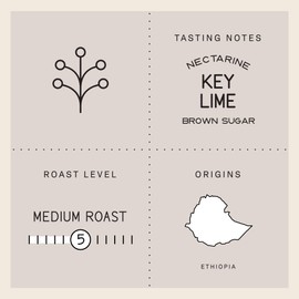 Verve Coffee Roasters Craft Dose & Brew Craft Instant Coffee Aster Blend | Medium Roast, Ground | Enjoy Hot or Cold | Up to 25 Servings