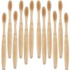 TEAMWILL 20pack Bamboo Toothbrush 100% Natural Organic Medium BPA Free