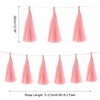 MECCANIXITY 15Pcs Light Pink Tassel Garland Banner with Rope Tissue