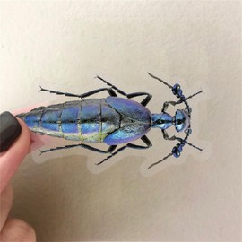 50 Pcs Insect Stickers,Bug Decals, Realistic Transparent Insecta PET Sticker,Waterproof Bug Stickers for Scrapbooking Sticker Supplies Journal Stuffers for Adult Card Making Letters DIY (Insecta)