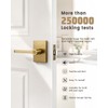 Champagne Bronze Door Knobs, Satin Brass Golden Interior Door Handles