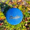 Baden Dodgeball – Soft Rubber 2-Ply Construction, Durable Indoor and