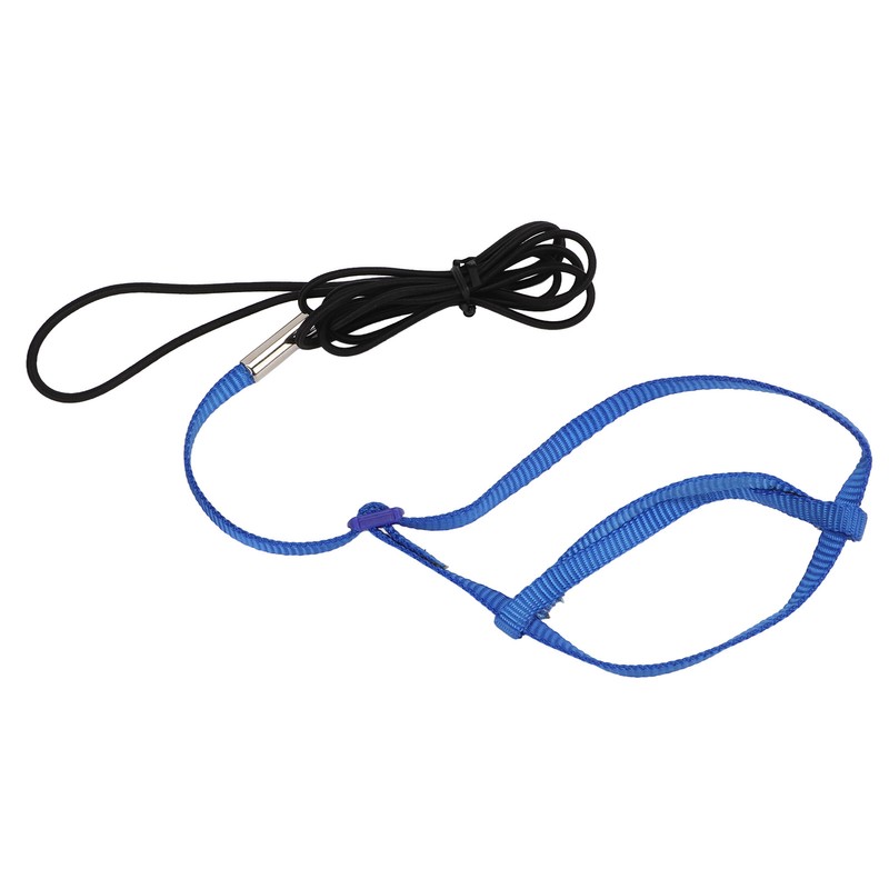 Parrot Harness Leash Adjustable Bird Flying Harness Traction Rope with