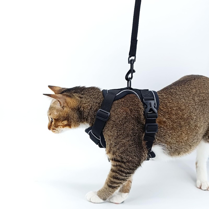 pangdi Cat Harness and Leash Set Escape Proof Tactical Extra