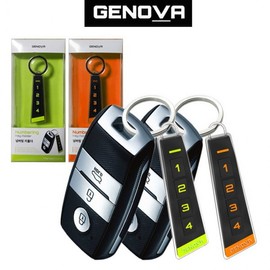 Xenover Car Number Display Keychain Keychain Lime