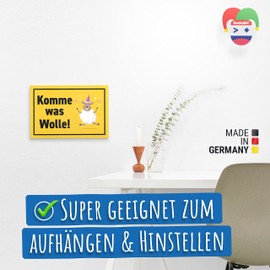 DankeDir! Komme was Wolle Schaf - Schild 30 x 20 cm - Geburtstagsgeschenk Geburtstag Geschenk Männer & Frauen - Geburtstagskarte Partydeko Geburtstagsdeko Geschenkidee Karte Deko Party