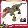 Remote Control Dinosaur Animal Toy, Spinosaurus and T-rex, swift movement