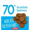 Snif-Snax Snif Snax Scottish Salmon Bites Dog Treats 48 oz