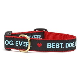 Up Country Best Dog Ever Collar