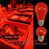 YCCLDIPL Darkroom Safe Light Portable Red Lamp, E27 LED Screw
