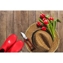 3 Claveles 304 Secateurs (21 cm)