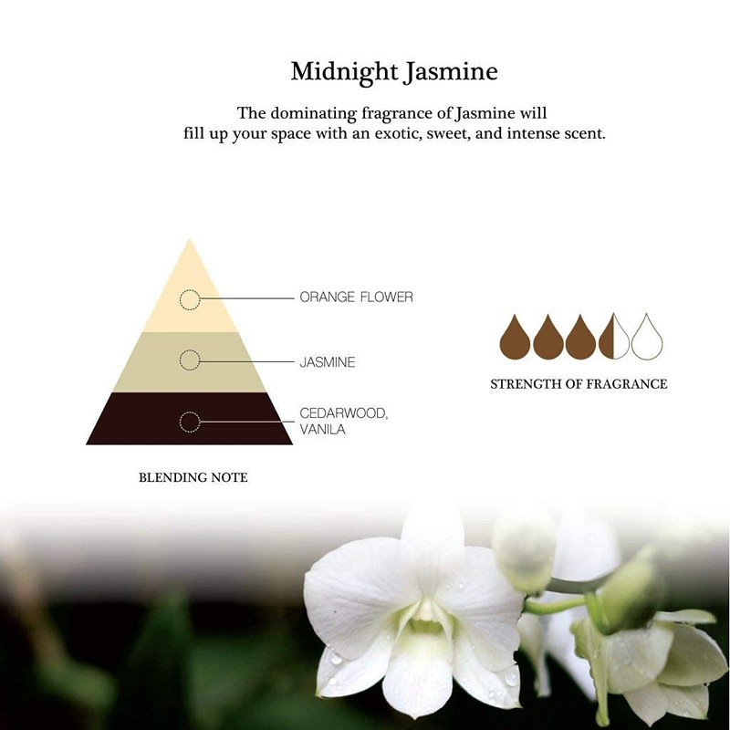 Aronica Mini Sola Flower Diffuser, 40 ml – Midnight Jasmine
