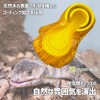 Reptile Water Container Pet Water Supply Automatic Water Supply Turtle