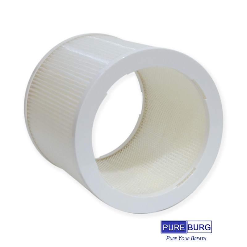 PUREBURG AS06FT-2 Replacement Filters Compatible with DH Lifelabs Aaira Mini