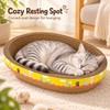 AQVELLO Corrugated Cat Scratcher Bed for Daily Clawing – Oval