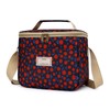 Nanxson Insulated Lunch Bag, Large Reusable Cool Bag, Waterproof Picnic