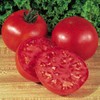 Burpee 'Big Boy' Tomato , 125 Non-GMO Seeds