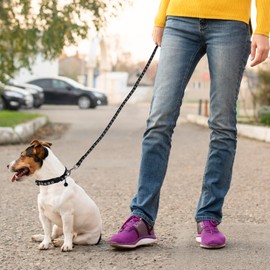 HJZHII 2Pcs Dog Collar, Small Medium Dog Puppy Pet Collar Sets with Safety Buckle Design Nylon Adjustable Durable Pet Collars with Bell and 120cm Leash (Black, Coffee)